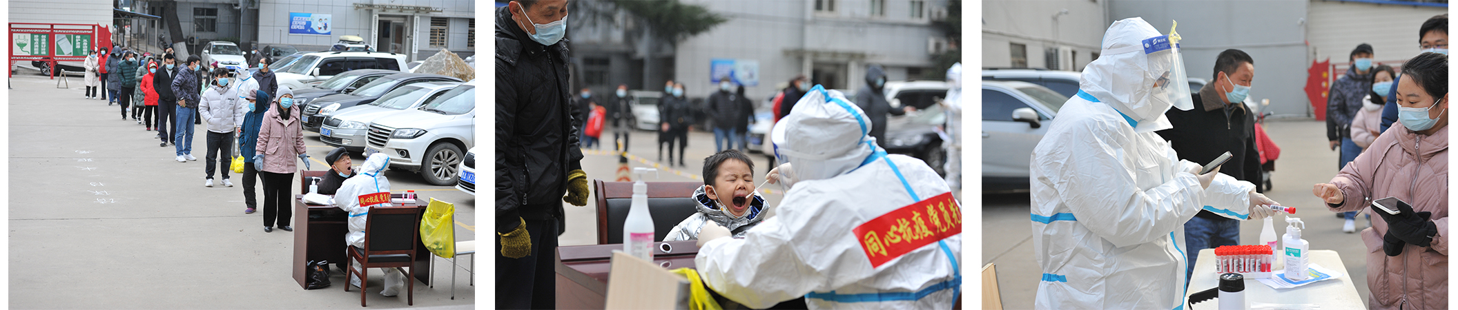 未标题-1 未标题-1