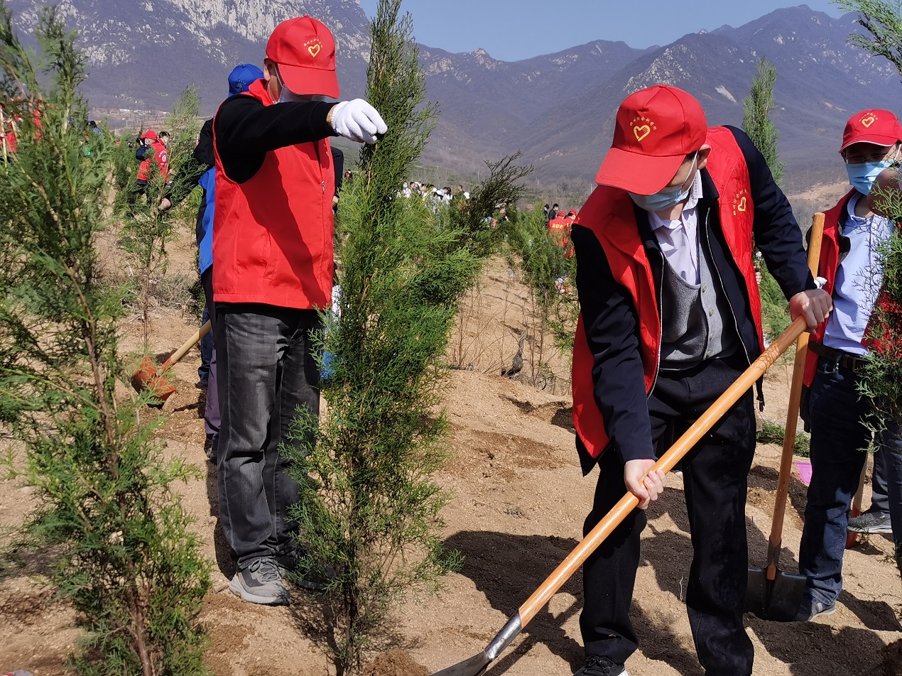 郑州综合利用所开展春季义务植树活动2